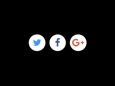 social icons with circle fill effect